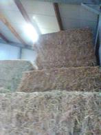 stro, Ophalen of Verzenden