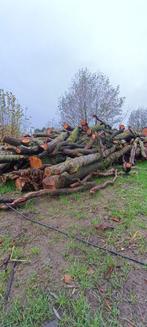 brandhout wilg op stam, Tuin en Terras, 6 m³ of meer, Ophalen, Overige houtsoorten, Stammen