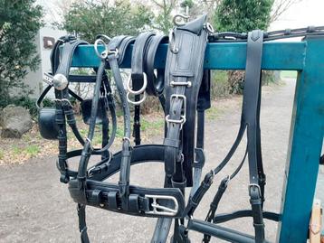 🔴NIEUW ZW PROFESSIONEEL  COB-MAAT ENKELSPAN TUIG 450.E. 🔴  beschikbaar voor biedingen
