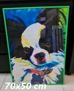 Kader Chihuahua nieuw, Enlèvement, Neuf