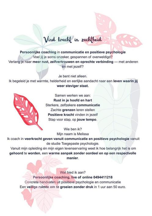 Coaching_veerkracht vanuit positieve psychologie, Diensten en Vakmensen, Coaching en Persoonlijke effectiviteit, Persoonlijke ontwikkeling