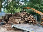 brandhout op stam, Tuin en Terras, Brandhout, Ophalen, Stammen