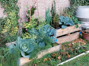 130 stuks palletranden/bloembak/kruidenbak/moestuinbak beschikbaar voor biedingen