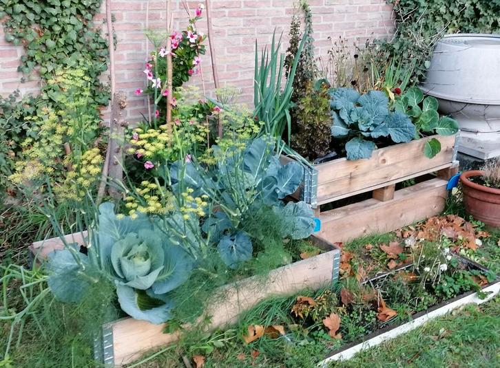 130 steukd palletranden/bloembak/kruidenbak/moestuinbak, Tuin en Terras, Kweekspullen, Zo goed als nieuw, Ophalen