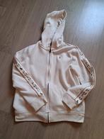 Gilet rits meisjes Polo Ralph Lauren 12j, Kinderen en Baby's, Kinderkleding | Maat 158, Meisje, Trui of Vest, Ophalen of Verzenden