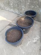 Argex korrels, Tuin en Terras, Aarde en Mest, Ophalen, Hydrokorrels