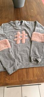 Pulletje woody maat 152, Kinderen en Baby's, Kinderkleding | Maat 152, Ophalen of Verzenden