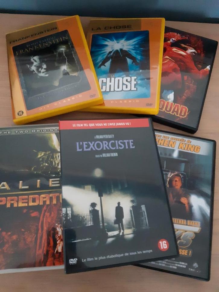DVD met horrorfilm, Cd's en Dvd's, Dvd's | Horror, Zo goed als nieuw, Ophalen of Verzenden