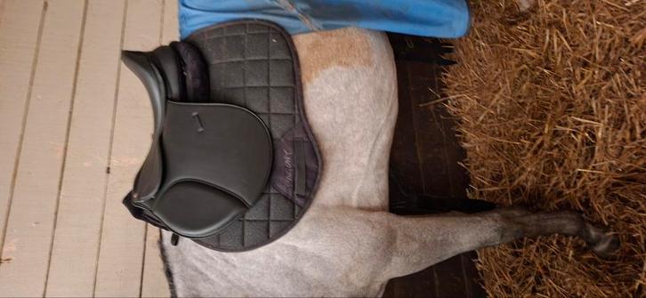 Selle 18 pouces à vendre, Animaux & Accessoires, Chevaux & Poneys | Selles, Comme neuf, Enlèvement