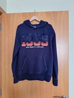Blauwe hoodie River Woods (13-14 jaar), Kinderen en Baby's, Kinderkleding | Maat 164, Gebruikt, River Woods, Trui of Vest, Ophalen of Verzenden