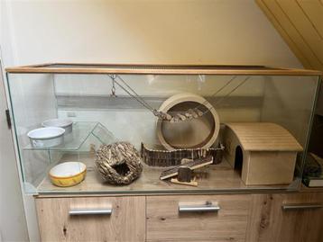 Hamster terrarium, Moins de 60 cm, 75 à 110 cm, Cage, Comme neuf