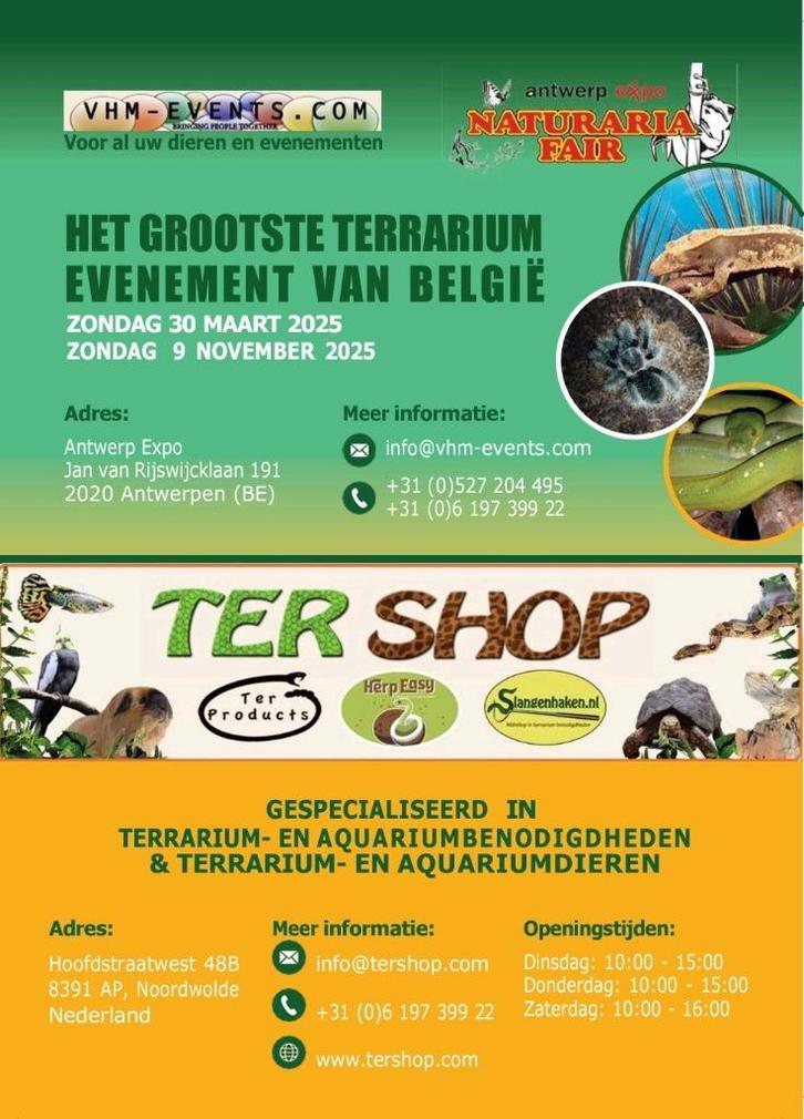 Naturaria Fair Antwerpen 09-11-2025, Dieren en Toebehoren, Reptielen en Amfibieën, Amfibie