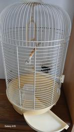 Vogels kooi, Dieren en Toebehoren, Ophalen, Vogelkooi