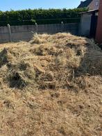 Gratis hooi, Tuin en Terras, Aarde en Mest, Ophalen, Overige typen