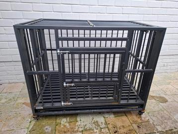 Bench middelgrote hond beschikbaar voor biedingen