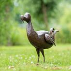 Jolis oiseaux - Dodo, Enlèvement ou Envoi