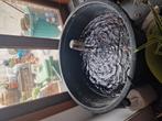 GRATIS grote ton, filter en 2  goudvissen, Dieren en Toebehoren, Goudvis(sen)