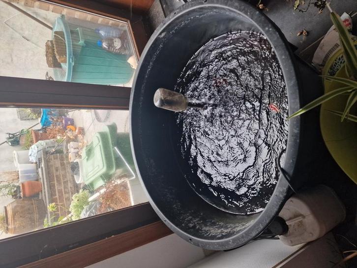GRATIS grote ton, filter en 2  goudvissen, Dieren en Toebehoren, Vissen | Vijvervissen, Goudvis(sen)