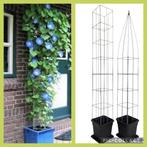 KLIMHULP voor rozen roos tuinrozen klimrozen clematis hedera, Tuin en Terras, Planten | Tuinplanten, Ophalen of Verzenden, Vaste plant