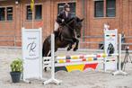 Bijrijdpaard gezocht, Dieren en Toebehoren, Paarden