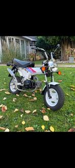 Honda dax, Fietsen en Brommers, Overige modellen, Ophalen of Verzenden, 50 cc, 3 versnellingen