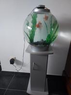Aquarium, Dieren en Toebehoren, Ophalen, Gebruikt, Gevuld zoetwateraquarium