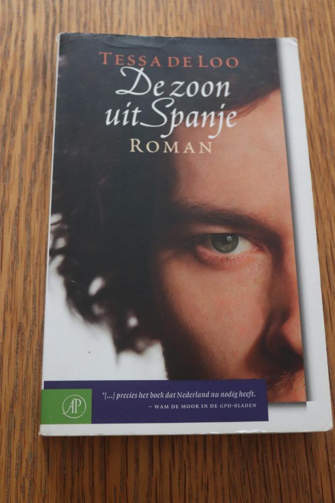 De zoon uit Spanje, Boeken, Romans, Zo goed als nieuw, Ophalen of Verzenden