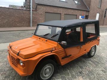 mehari  beschikbaar voor biedingen
