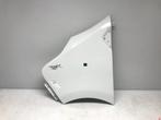 Renault Trafic 3 2015+ Zijscherm Spatbord Links Voor Origine, Auto-onderdelen, Gebruikt, Links, Renault