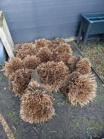 Pennisetum siergras, Tuin en Terras, Grind, Keien en Split, Ophalen
