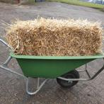 kleine pakken tarwe stro te koop a 5,00 euro, Dieren en Toebehoren, Ophalen, Vee