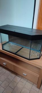 150 liter aquarium met kast en technieken., Dieren en Toebehoren, Ophalen, Gebruikt, Leeg aquarium