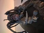 Shelob lord of the rings 2003 weta, Verzamelen, Lord of the Rings, Ophalen of Verzenden