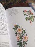 Livre sur les roses, Boeken, Wonen en Tuinieren, Nieuw, Ophalen