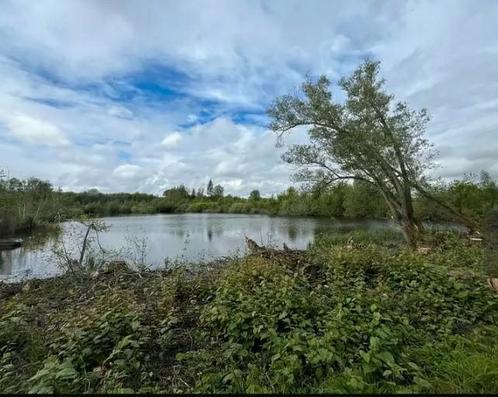 VERKOCHT prachtig natuurdomein met visvijver, Tuin en Terras, Vijvers, Ophalen of Verzenden