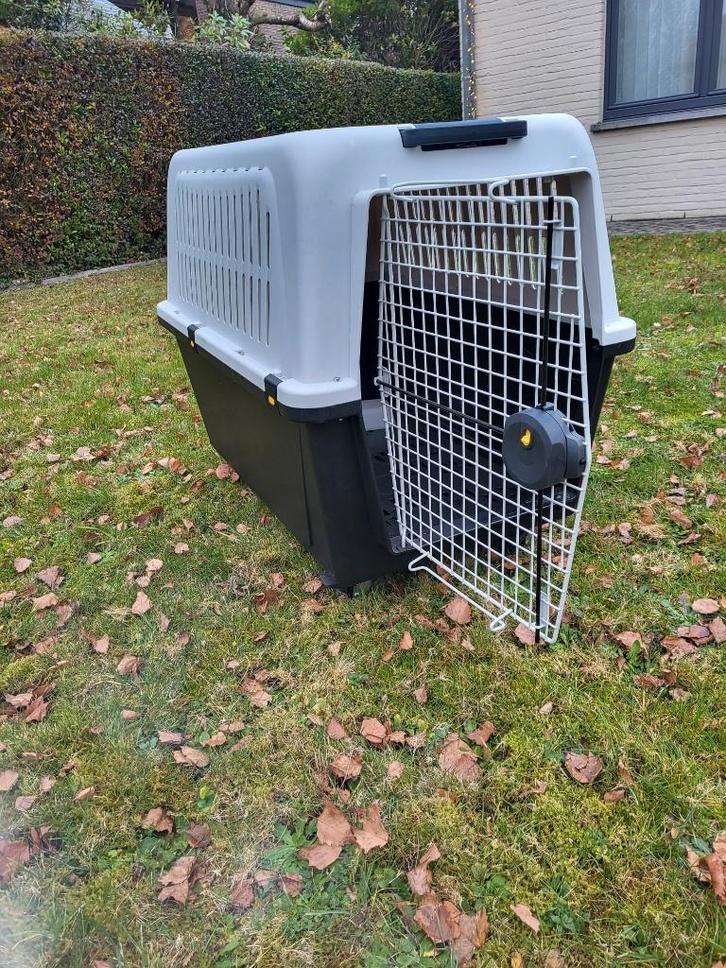 Cage de transport animaux, Animaux & Accessoires, Caisses pour chiens, Comme neuf, Enlèvement