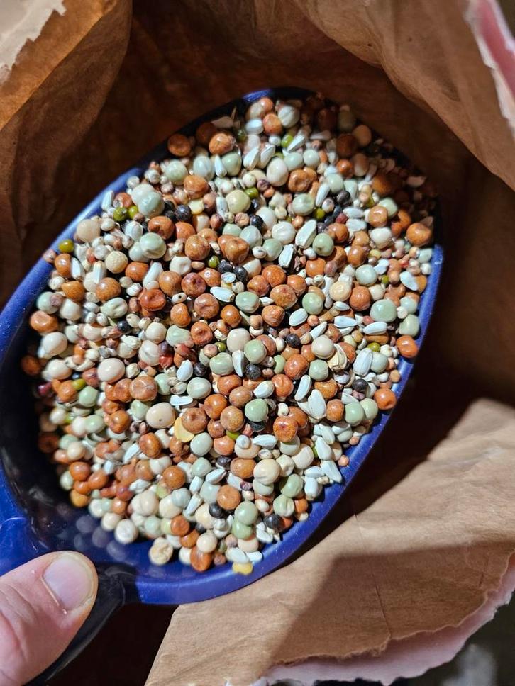 Luikse Speciaal Mix 1kg - Versele Laga, Dieren en Toebehoren, Dierenvoeding, Ophalen