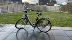 BATAVUS Padova Easy Deluxe . Elektrische fiets, Fietsen en Brommers, Ophalen, Gebruikt, Batavus