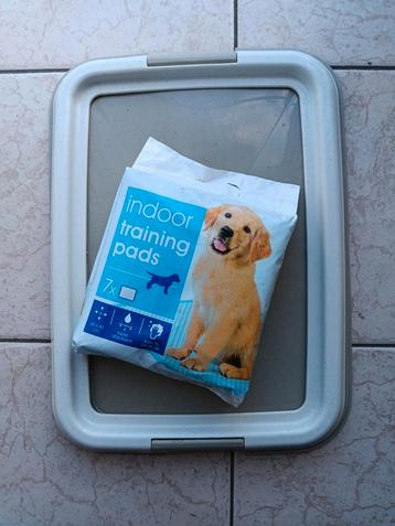 Indoor puppy trainer  beschikbaar voor biedingen