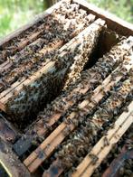 Honing, Dieren en Toebehoren