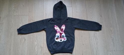 Truien Maat 116, Kinderen en Baby's, Kinderkleding | Maat 116, Gebruikt, Meisje, Trui of Vest, Ophalen of Verzenden