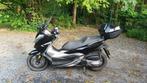 Scooter Honda Forza 300, Motoren, Scooter, 279 cc, Particulier, 1 cilinder