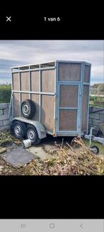 Pony trailer, Dieren en Toebehoren