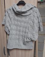 Trui met korte mouwen, Ophalen of Verzenden, Gedragen, Maat 38/40 (M), Grijs
