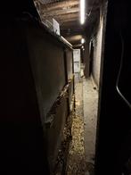 Clapier en beton pour lapin