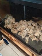 Maansteen., Dieren en Toebehoren, Ophalen