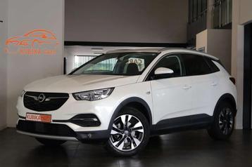 Opel Grandland X 1.2 Turbo Aut Navi Cam DodeH LijnA KeyLess  beschikbaar voor biedingen