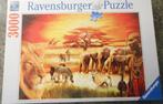 ravensburger puzzel 3000 stukjes trotse masai nieuw 28 euro, Enlèvement ou Envoi, Neuf