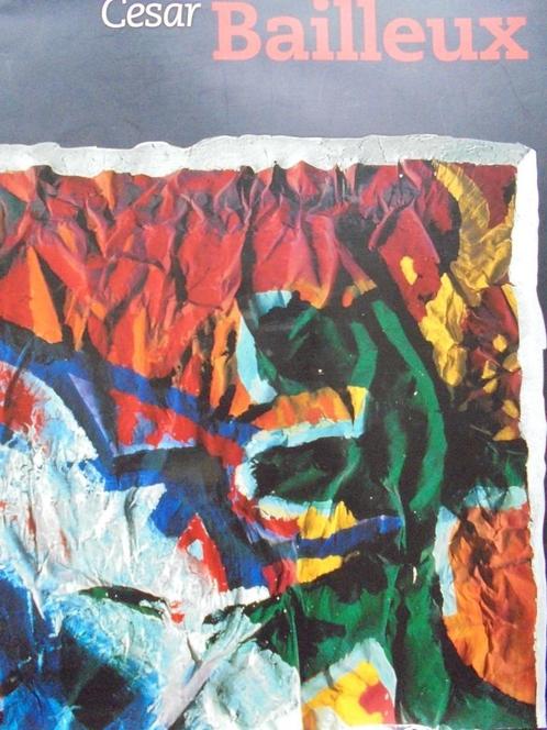 Cesar Bailleux  1   Monografie, Boeken, Kunst en Cultuur | Beeldend, Nieuw, Beeldhouwkunst, Verzenden