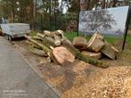 brandhout op stam, Tuin en Terras, Brandhout, Ophalen of Verzenden